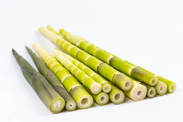 Fresh Little Bamboo Shoots Isolated White Background — Stock Photo, Image