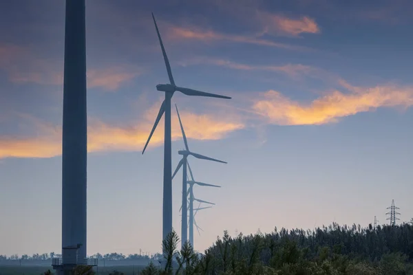 Pobřežní Větrná Farma Soumraku Silueta Větrných Turbín Západem Slunce — Stock fotografie