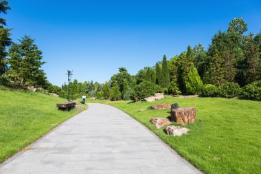 güneşli sabah parkta