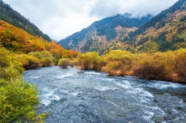 jiuzhaigou ormanında sonbahar