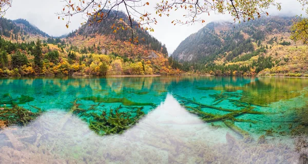 Colorful pond in jiuzhaigou — Stock Photo, Image