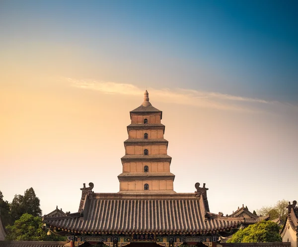 Xian big wild goose pagoda close-up — Stockfoto