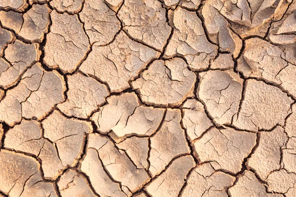 Tierra agrietada — Foto de Stock