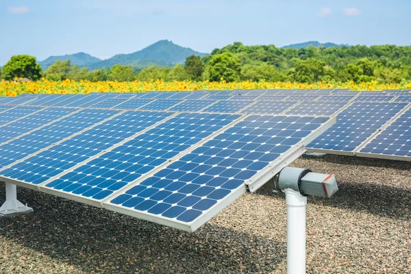 Paneles de energía solar y tierras de cultivo de girasol — Foto de Stock