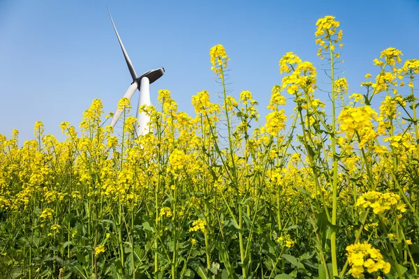 Turbinas eólicas na primavera — Fotografia de Stock