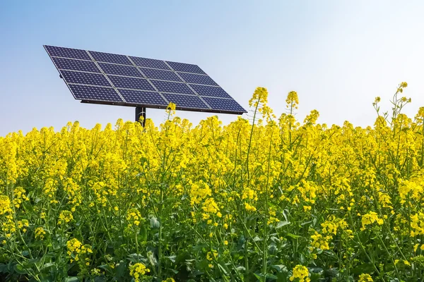 Energia solare in primavera — Foto Stock