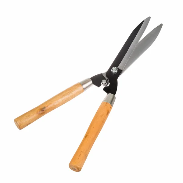 Tuinieren scissor geïsoleerd — Stockfoto