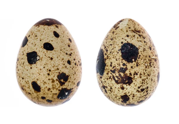 Jaja przepiórcze na białym tle — Zdjęcie stockowe