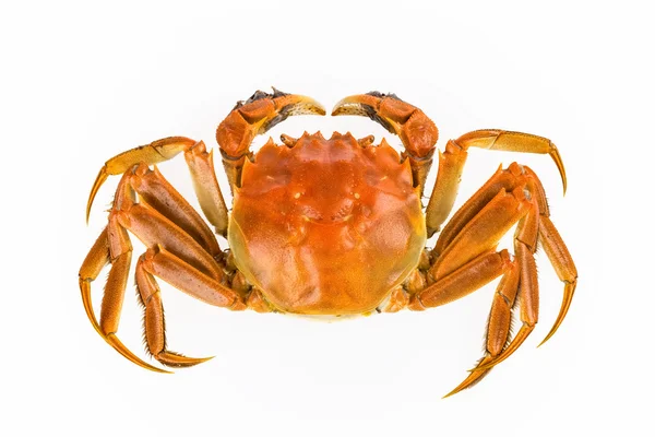 Delicious freshwater crab — Stock Photo, Image