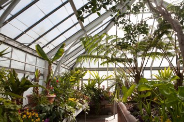 a greenhouse that holds different types of plants, interior clipart