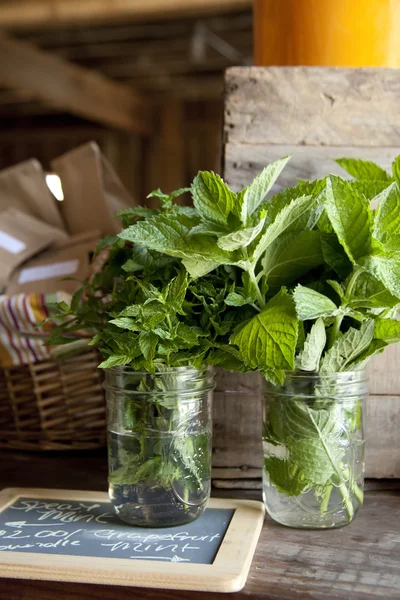 Menta fresca in vendita al mercato agricolo — Foto Stock