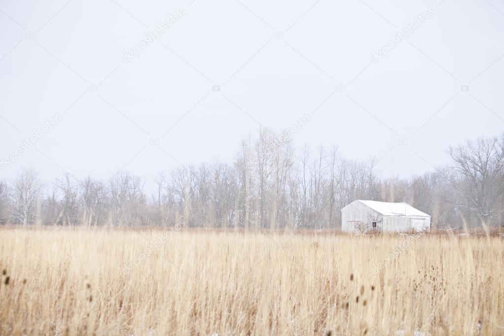 Ohio Winter Farm Landscape