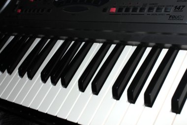 piyano tuşları
