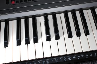 piyano tuşları