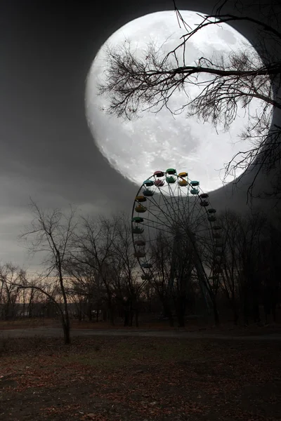 Roda gigante no parque — Fotografia de Stock