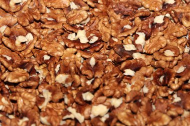 Olgun ceviz çekirdek