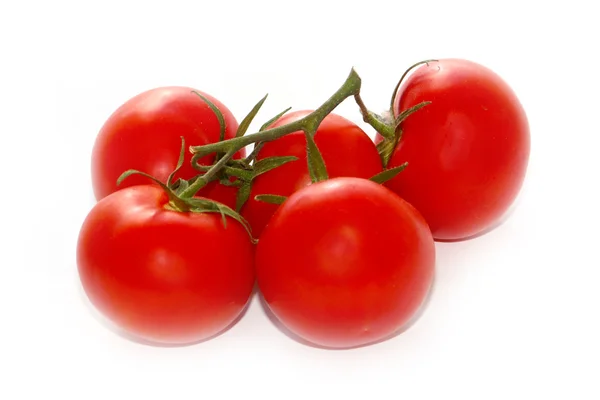 Belos tomates maduros — Fotografia de Stock