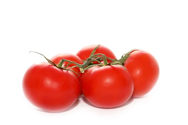 Beautiful ripe tomatoes — Stock Photo, Image