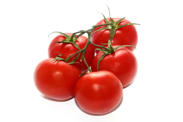 Hermosos tomates maduros — Foto de Stock
