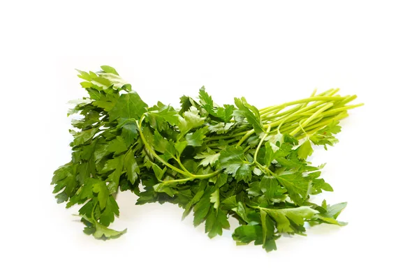 Fresh bunch of parsley — Stock Photo, Image