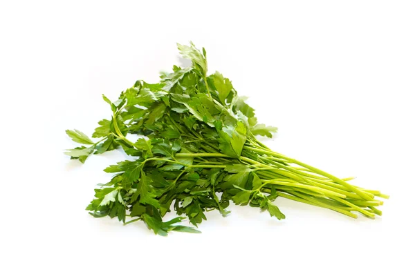 Fresh bunch of parsley — Stock Photo, Image