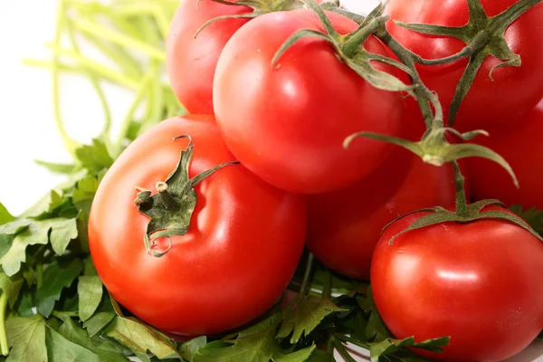 Tomates maduros y un manojo de perejil — Foto de Stock