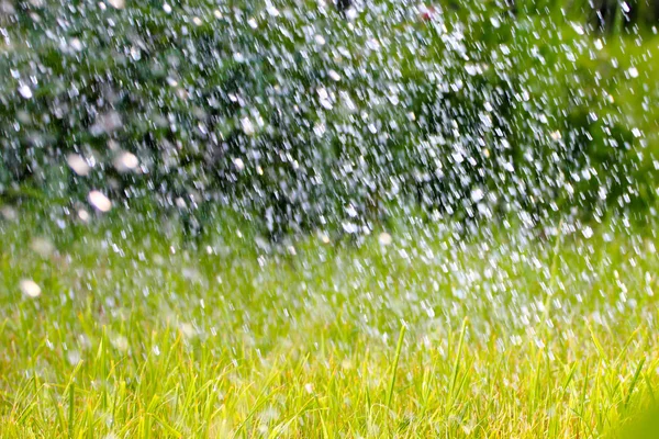 Ve yağmur su damlaları — Stok fotoğraf