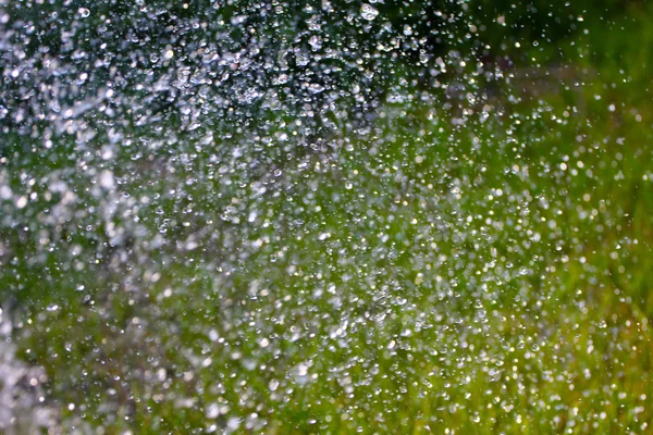 Y gotas de agua de lluvia — Foto de Stock