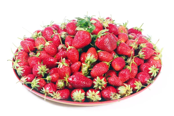 Belles fraises mûres — Photo