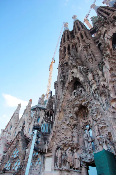 Scene Sagrada Familia Spain — Stock Photo, Image