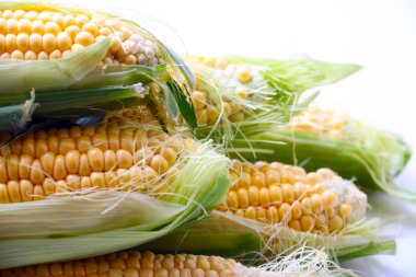 güzel olgun Mısır