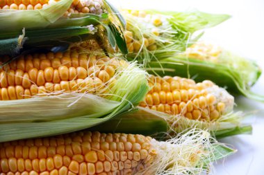 güzel olgun Mısır