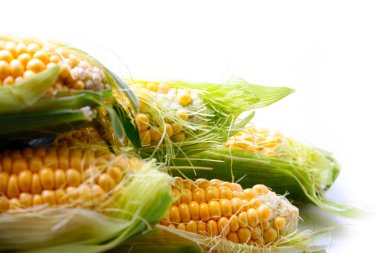 güzel olgun Mısır