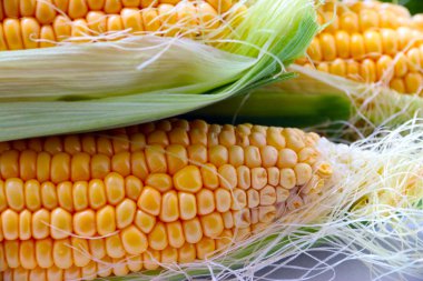 güzel olgun Mısır