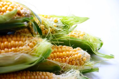 güzel olgun Mısır