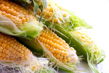 güzel olgun Mısır