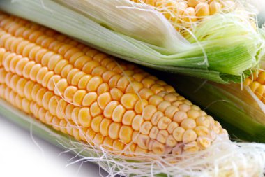 güzel olgun Mısır