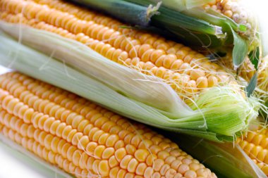 güzel olgun Mısır