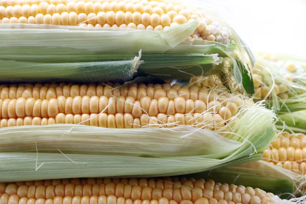 Красивая спелая кукуруза — стоковое фото