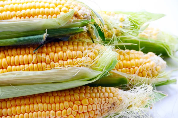 El hermoso maíz maduro —  Fotos de Stock