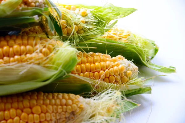 Красиві стиглі кукурудзи — стокове фото