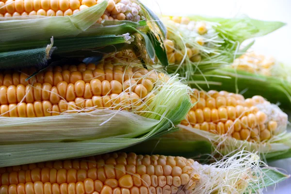 güzel olgun Mısır