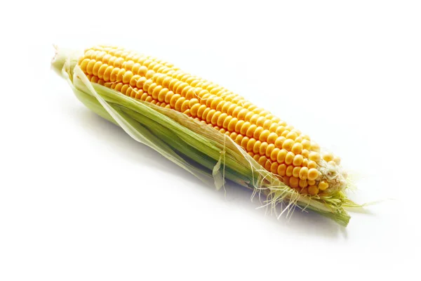 The beautiful ripe corn — Stock Photo, Image