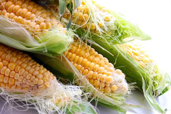 Красивая спелая кукуруза — стоковое фото