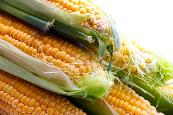 güzel olgun Mısır