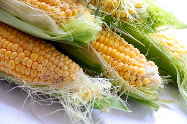 Красива стигла кукурудза — стокове фото