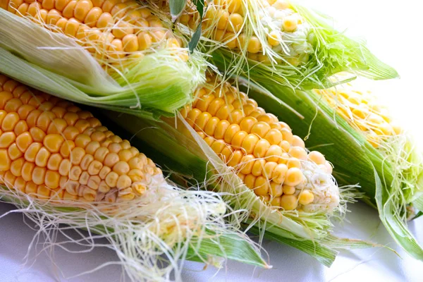 Красива стигла кукурудза — стокове фото