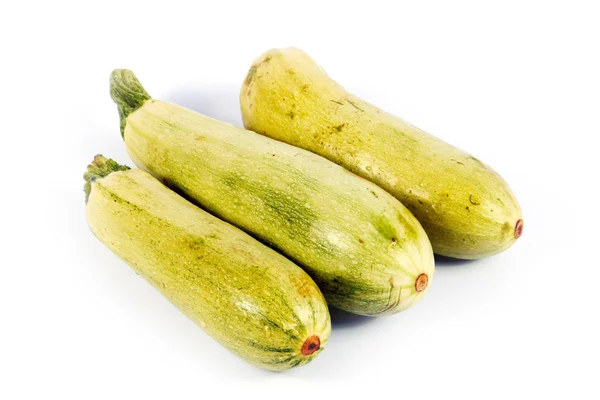 Ripe fresh zucchini — Stock Photo, Image