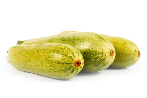Ripe fresh zucchini — Stock Photo, Image