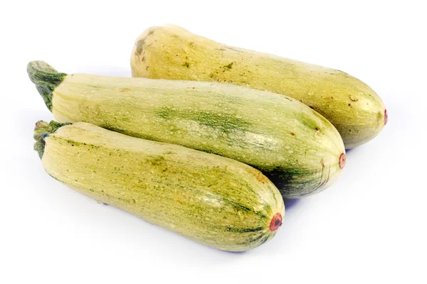 Ripe fresh zucchini — Stock Photo, Image